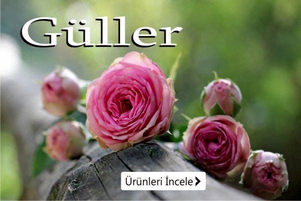 Gül Buketleri Kategorisi - Eskişehir Çiçekçi