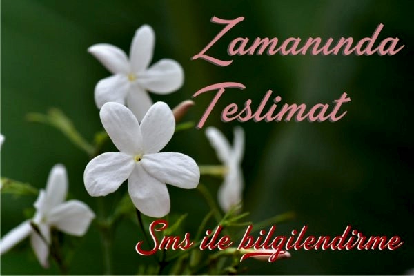 Zamanında Teslimat - Eskişehir Çiçekçi