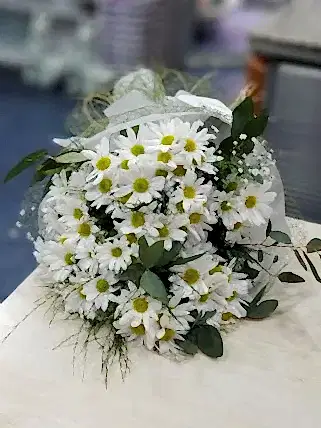 Eskişehir çiçekçi Beyaz Papatyalar